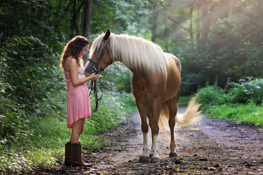  Equine Therapy serving Northeast Florida