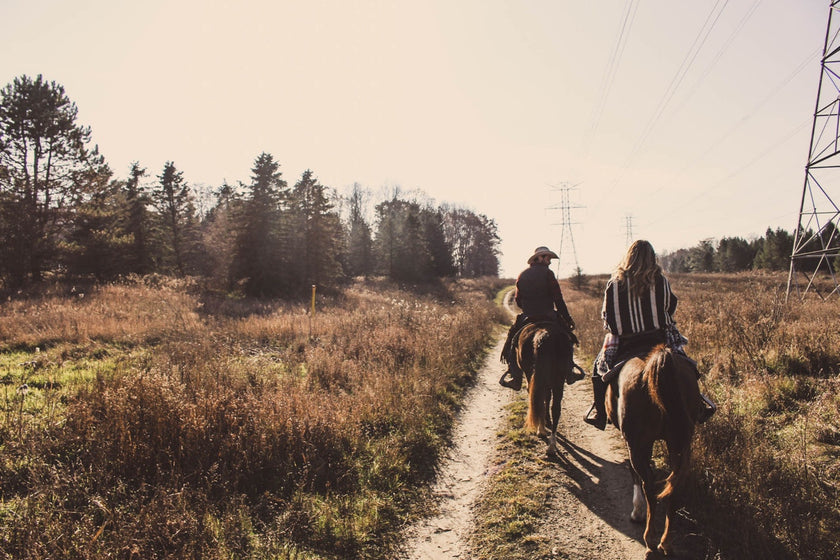  Equine Therapy serving Northeast Florida
